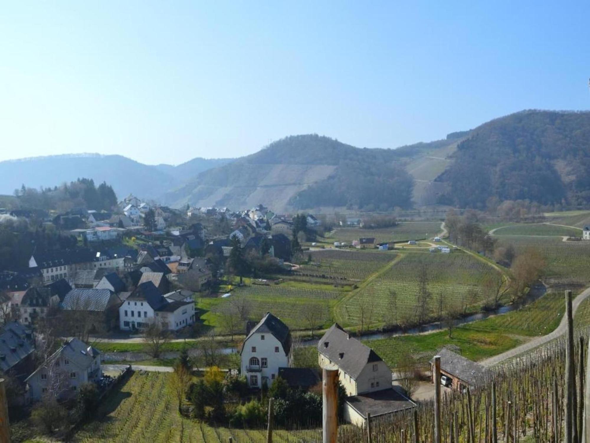 Charming Apartment In Morbach Germany With Terrace Thalfang Eksteriør bilde
