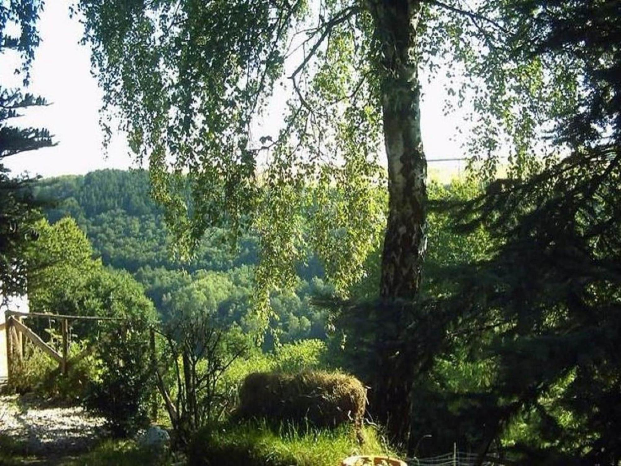 Charming Apartment In Morbach Germany With Terrace Thalfang Eksteriør bilde