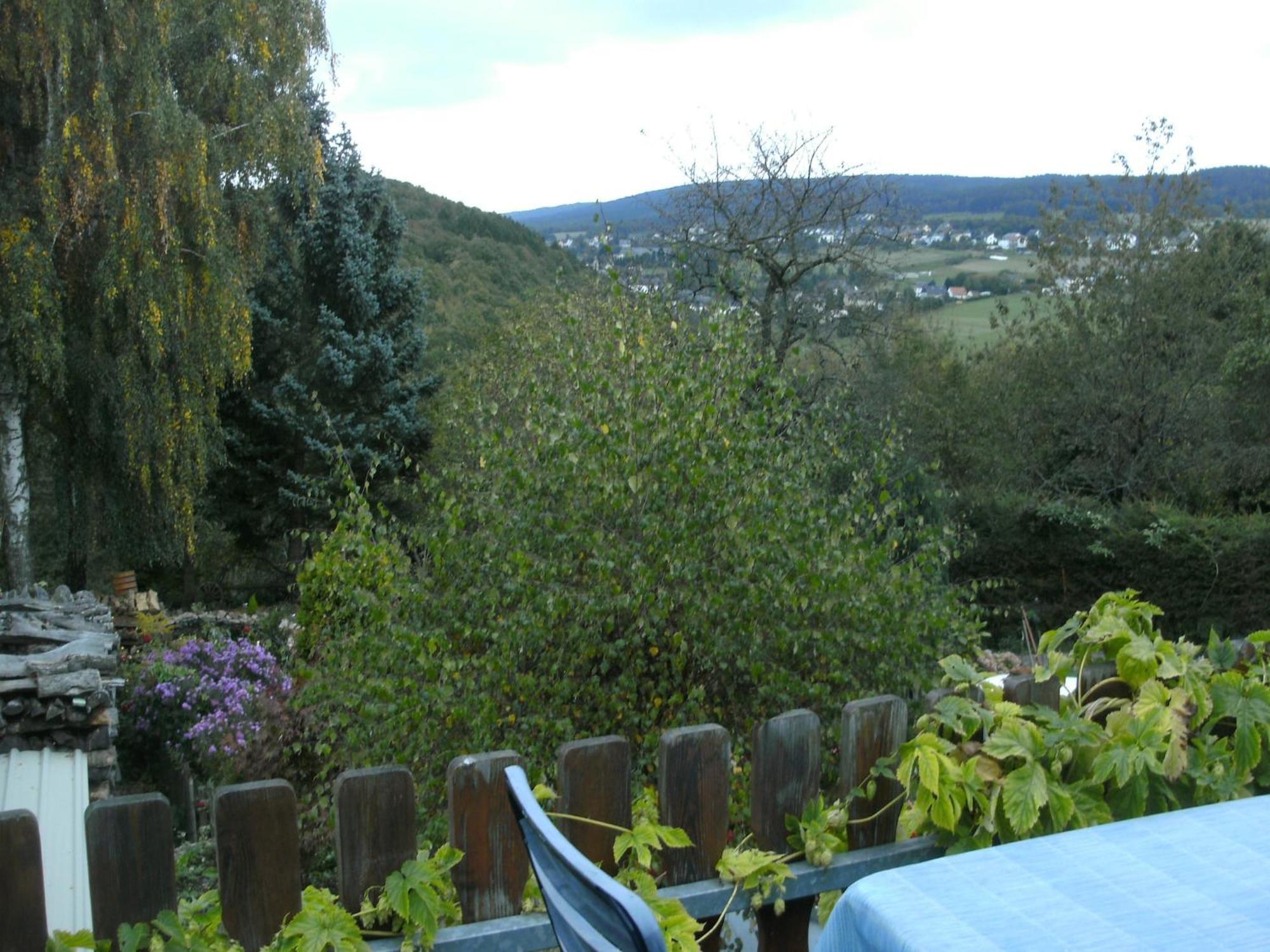 Charming Apartment In Morbach Germany With Terrace Thalfang Eksteriør bilde
