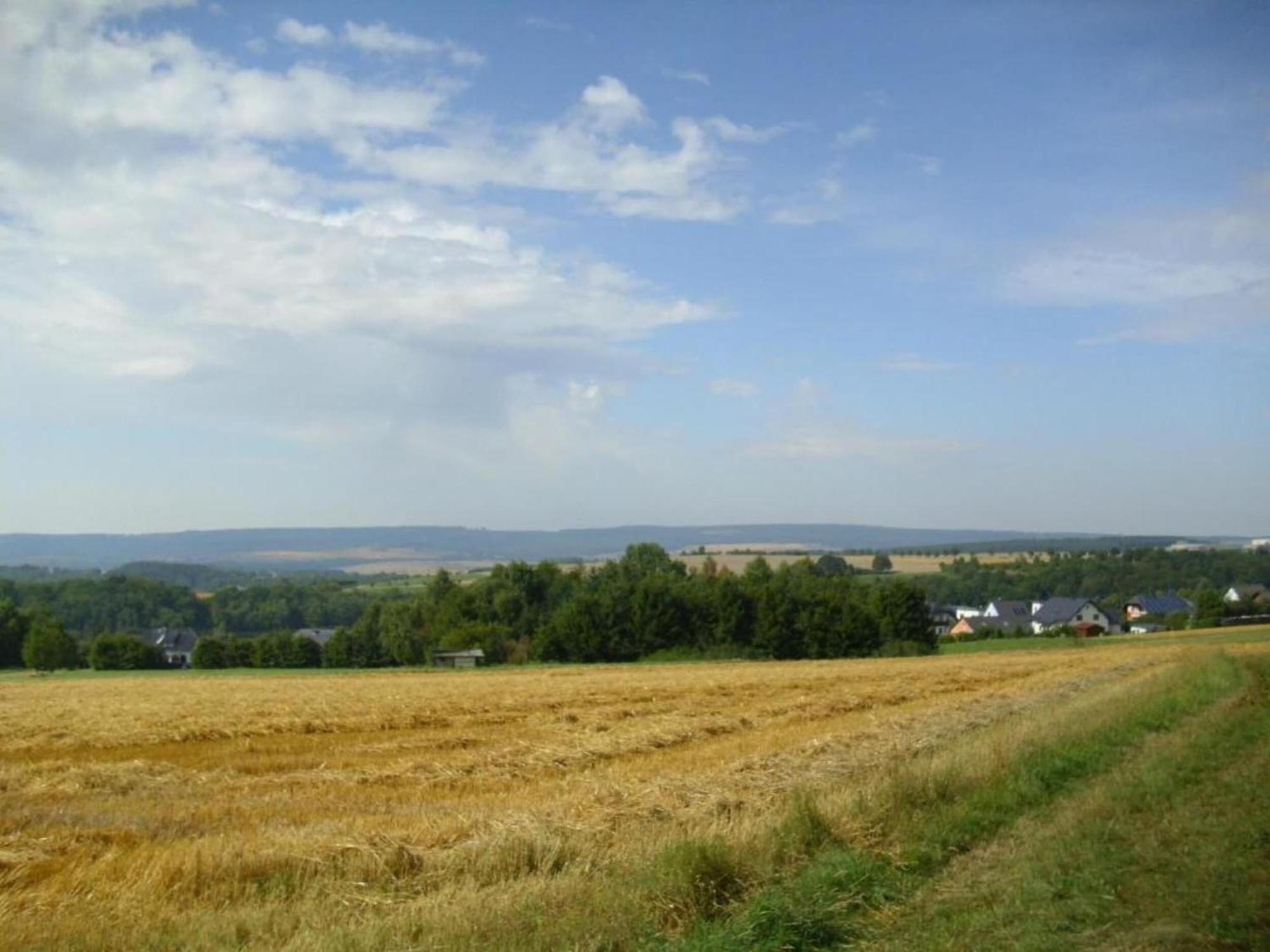 Charming Apartment In Morbach Germany With Terrace Thalfang Eksteriør bilde